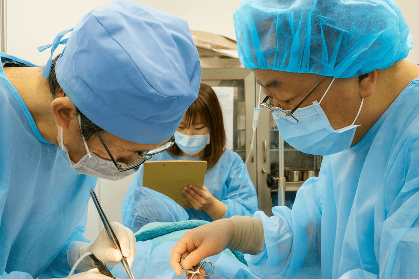 院長のその他の活動